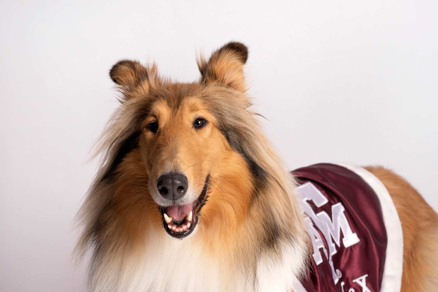Reveille smiling for the camera