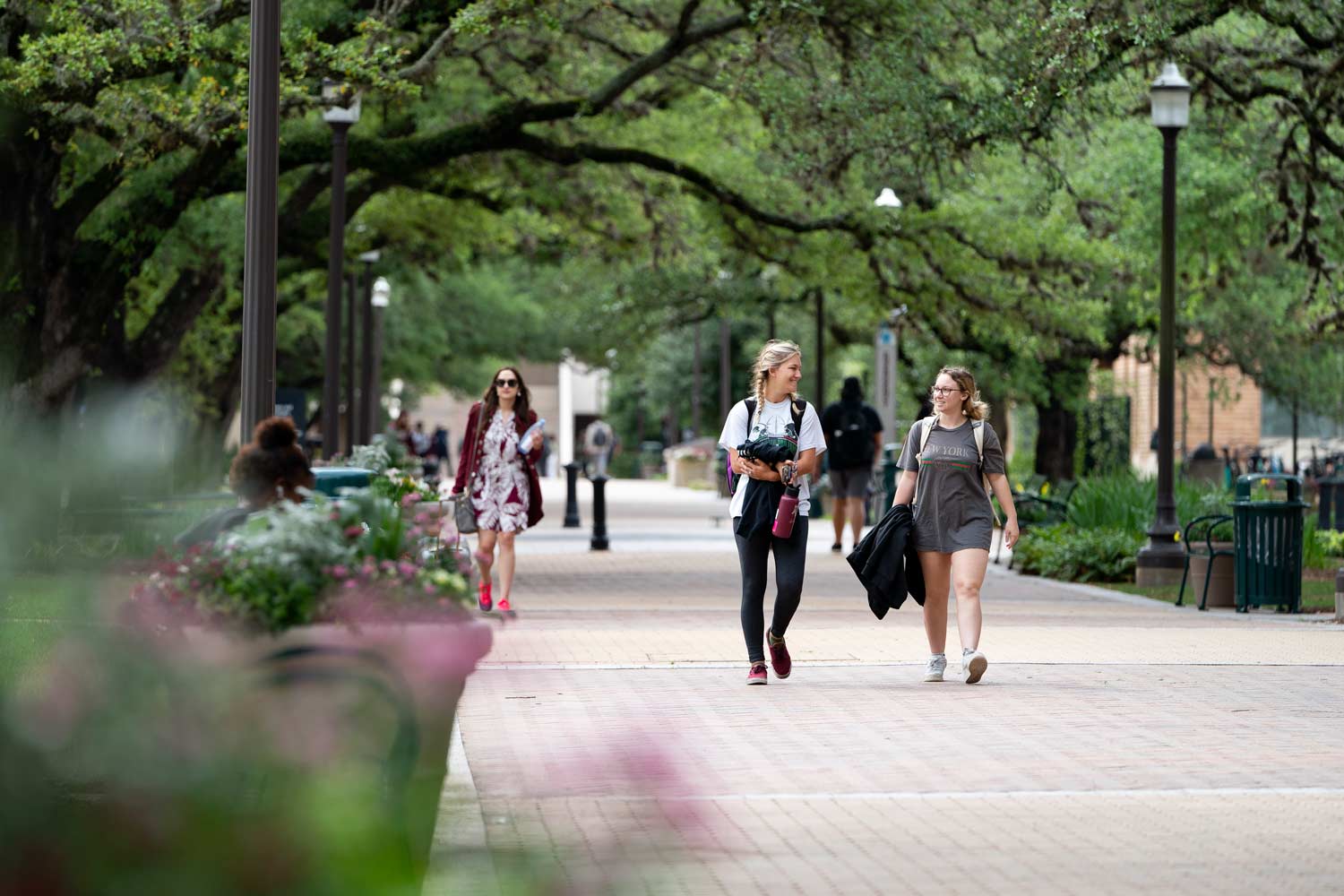 Texas A&M Students walking down military walk