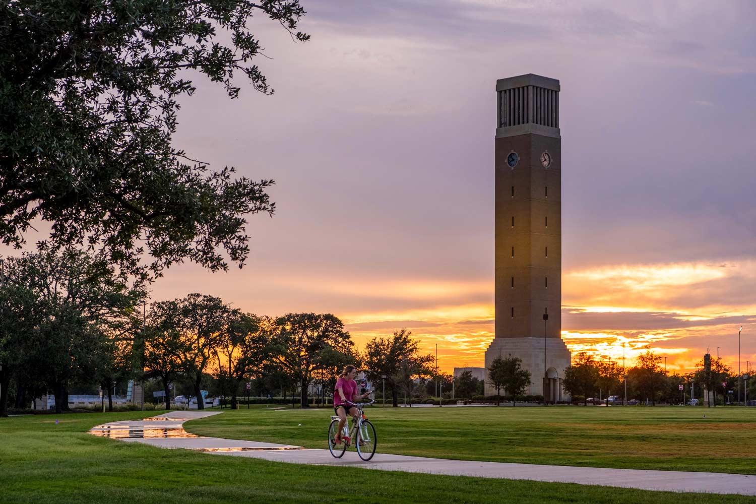 Aggie student rides a bike in front of Albritton Bell Tower during sunset.