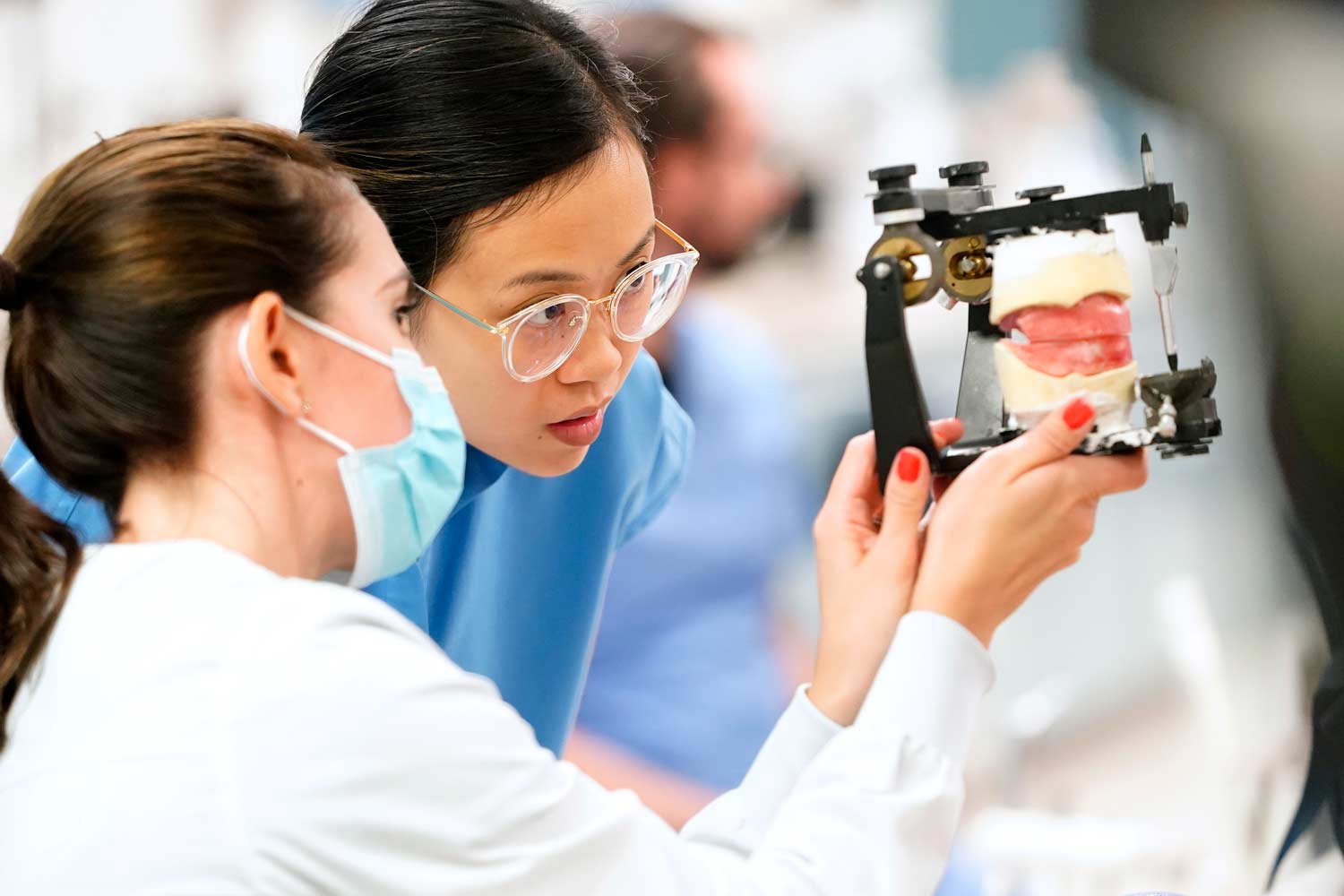 Two Texas A&M dentistry students inspecting a model of the human mouth.