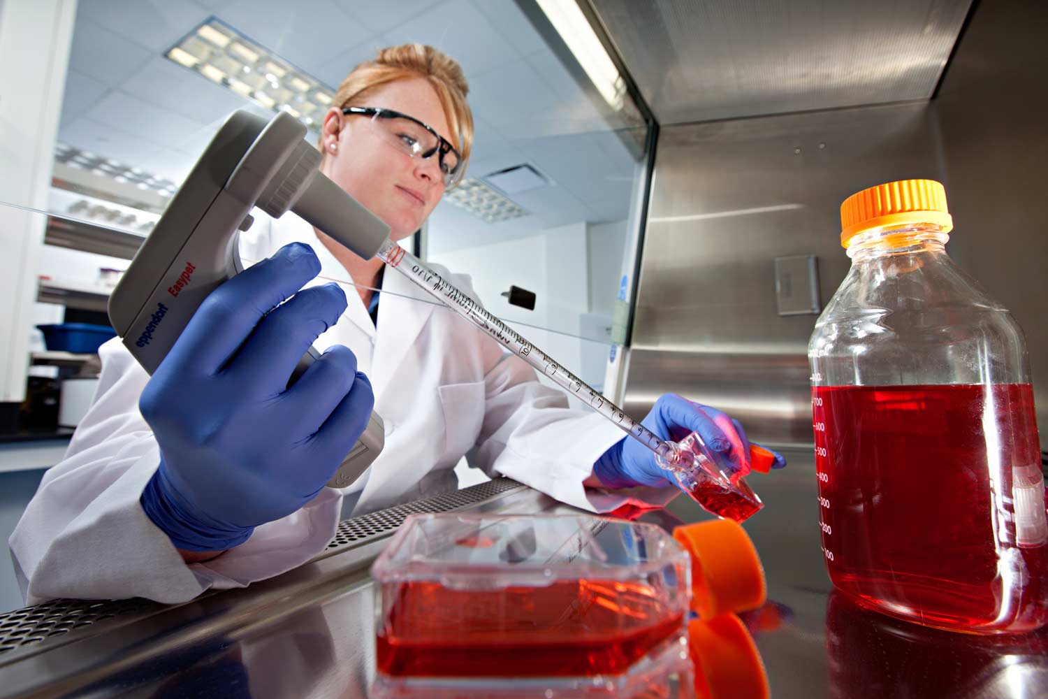 Researcher in a lab coat and protective eye glasses filling a syringe with a red liquid.