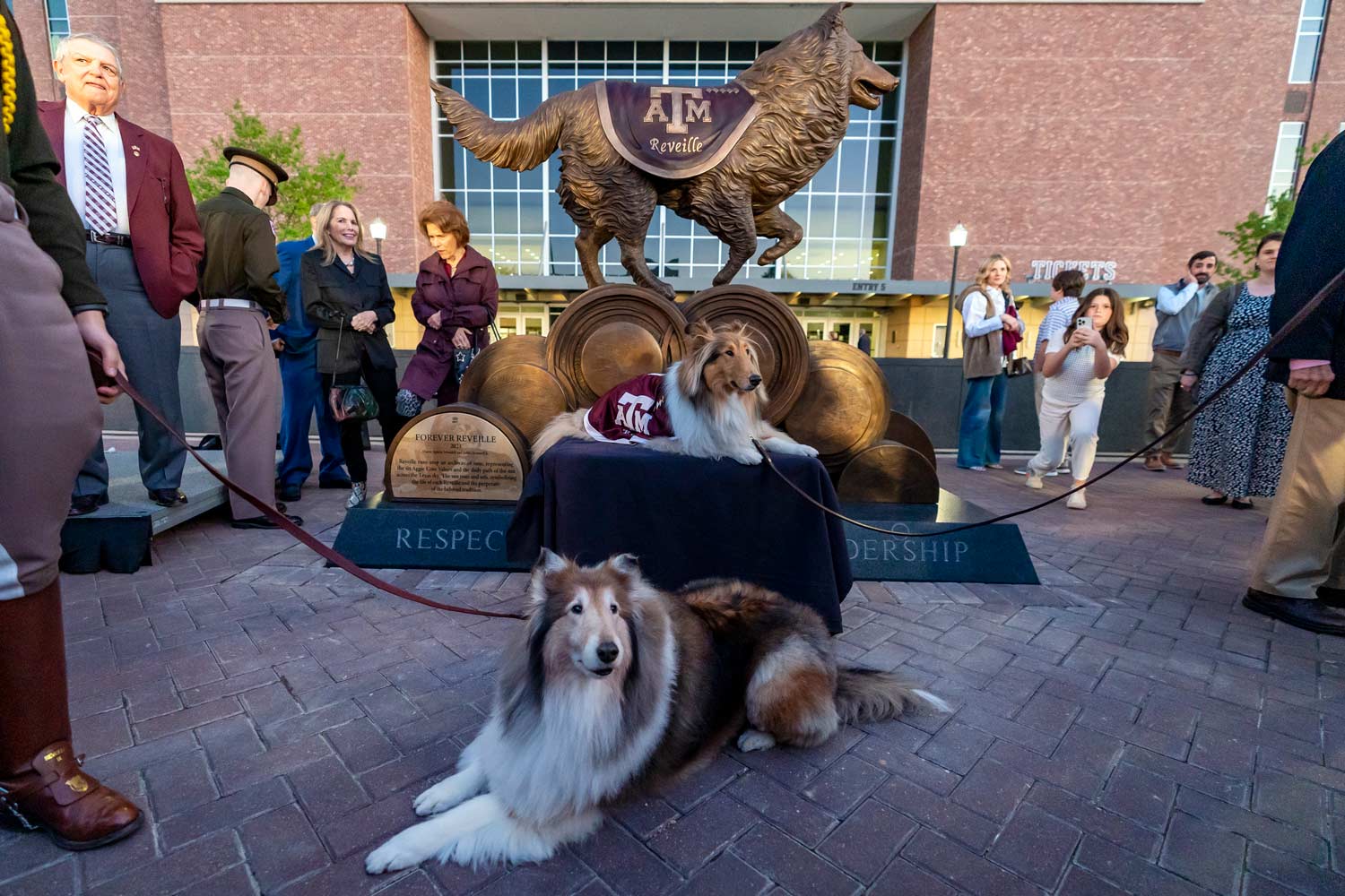 Reveille IX and X posing at the dedication of the Reveille statue outside Kyle Field