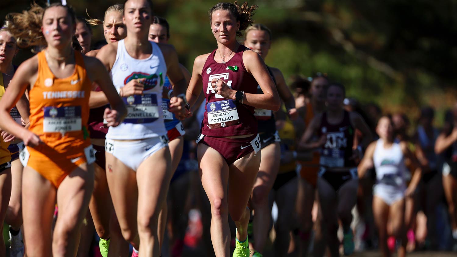 A group of cross country runners racing